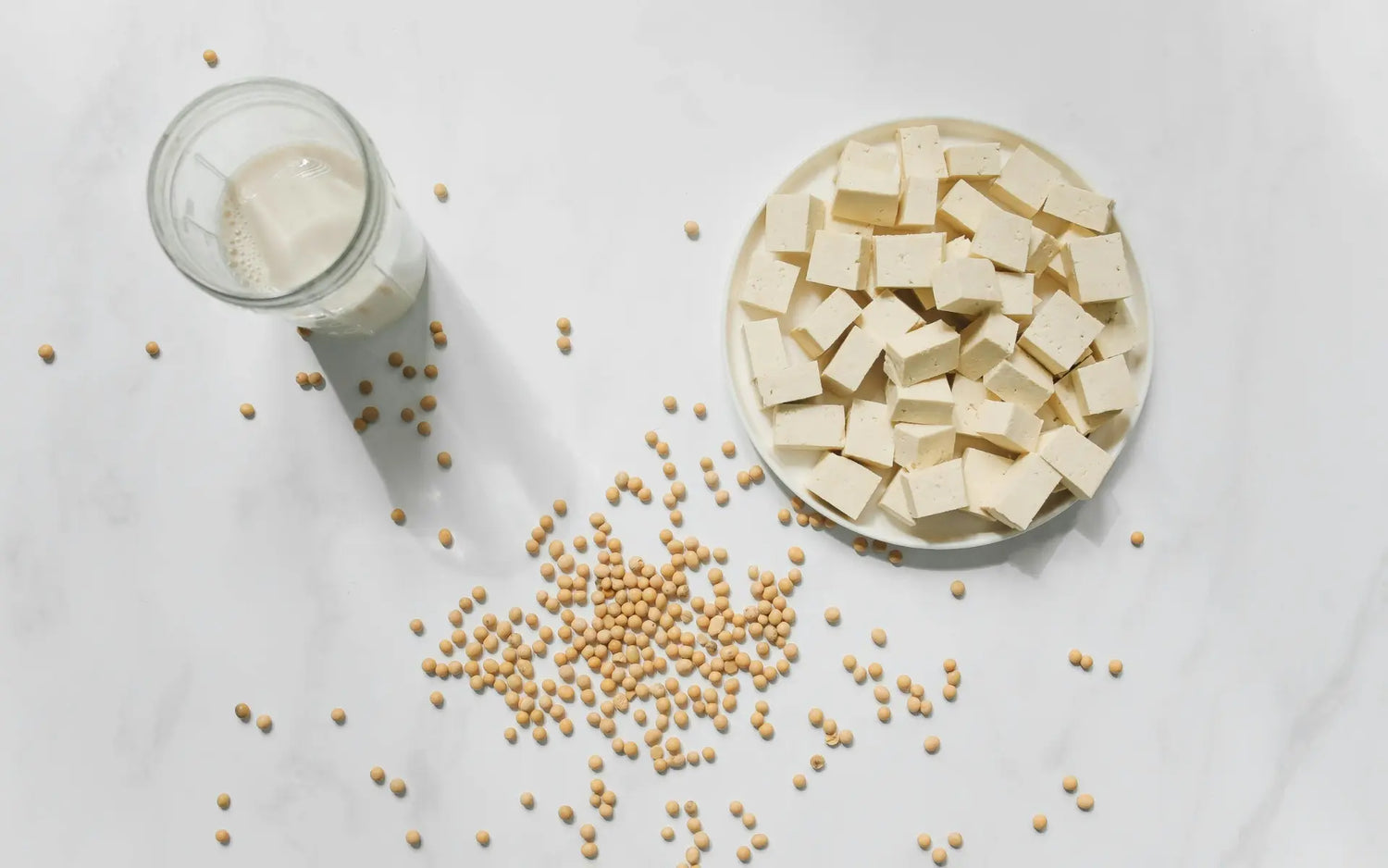 WIE LANGE IST TOFU HALTBAR? ALLES, WAS DU WISSEN MUSST!