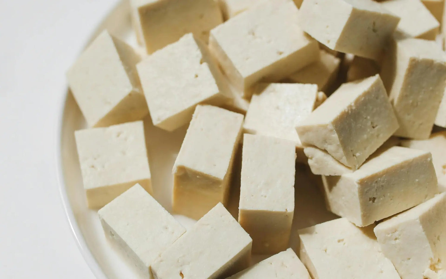 KANN TOFU SCHLECHT WERDEN?